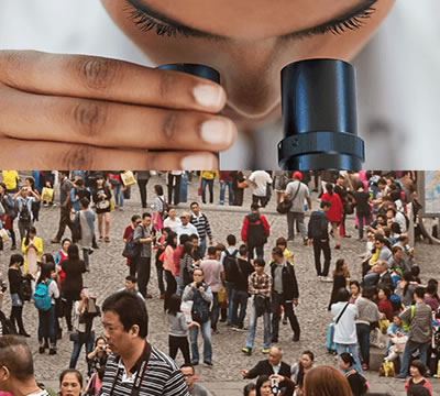 ATCC7830德氏乳桿菌（萊氏曼乳酸桿菌）-C3