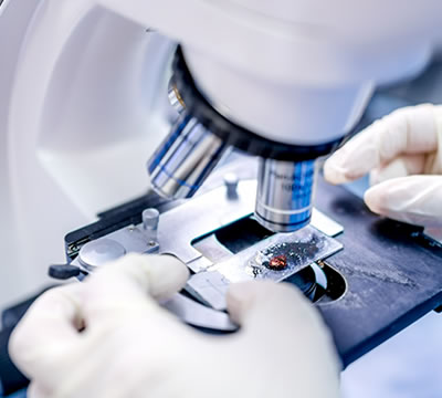 ATCC9027銅綠假單胞菌-C3